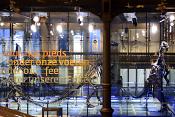 museum voor natuurwetenschappen brussel 11-2022 5503
